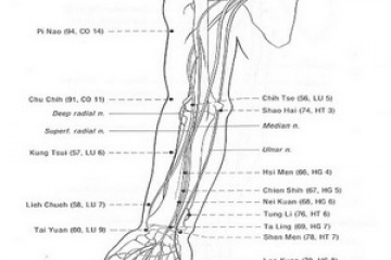 שבוע 25 – זרוע חשופה